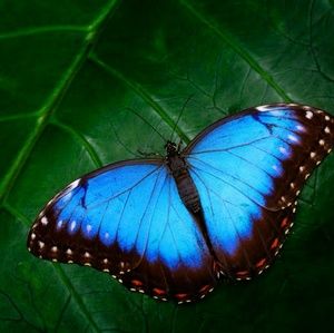 Meet your Posher, Cas